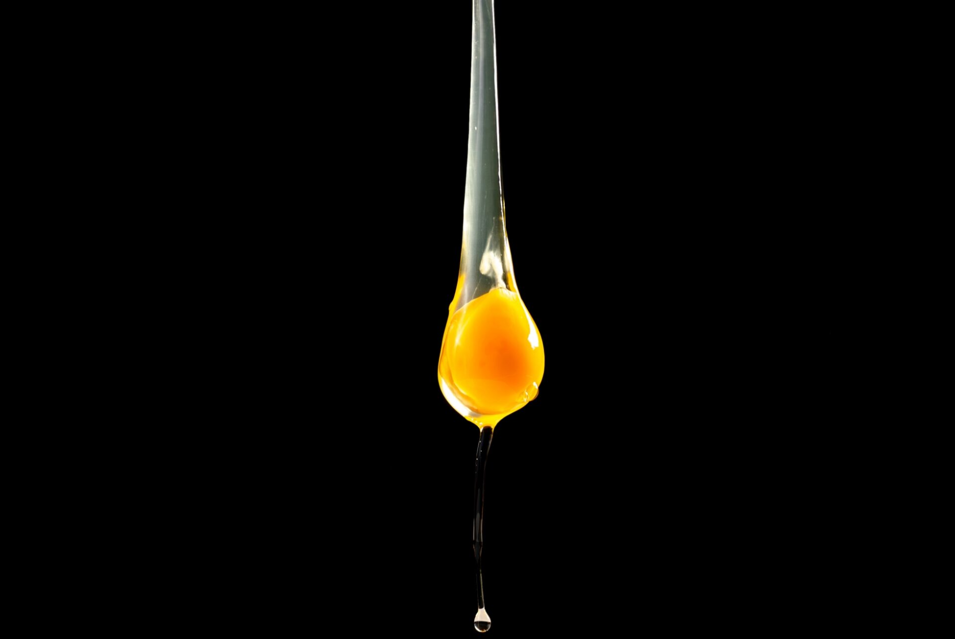 Egg